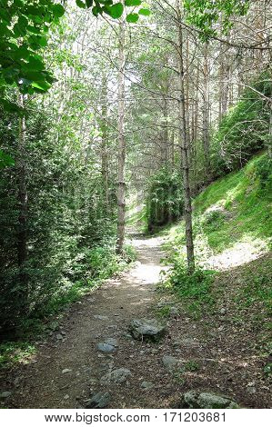 Aigüestortes National Park In The Catalan Pyrenees, Spain