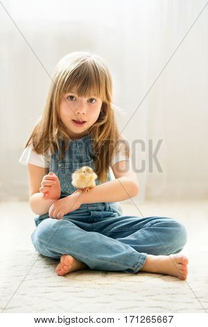 Young beautiful girl playing with little newborn chick at home isolated on white