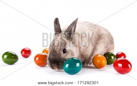 Easter bunny and Easter eggs on green grass, close-up.