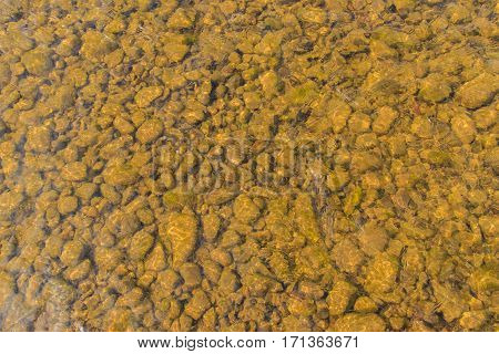 Trout fishing on the mountain river, very beautiful nature.