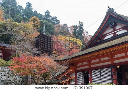 Pagoda at Tanzan Shrine in autumn Nara Prefecture Japan
