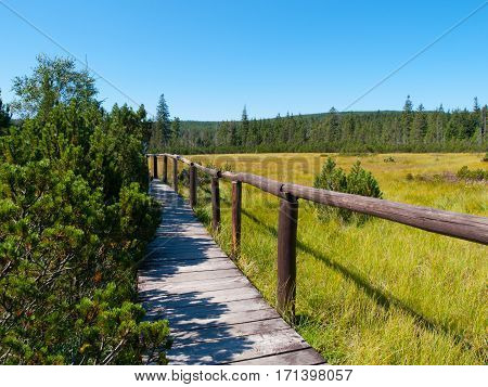 Peat bog with wooden path near Jizerka village in Jizera Mountains, Northern Bohemia, Czech Republic, Europe.