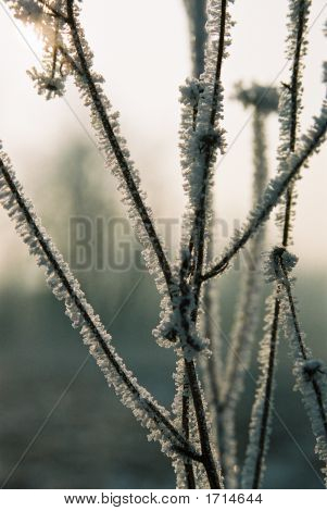 Icicle