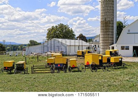 BELLEVILLE PENNSYLVANIA - September 3 2016: A group of Amish youth paint all the farm buildings in one day at Mifflin County Pennsylvania USA.