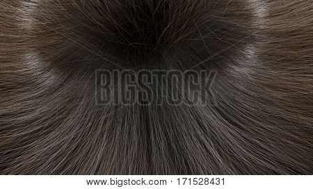 Texture Rambut 3d Long Hair Texture,3d Image & Photo (Free Trial) | Bigstock