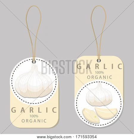 Vector illustration logo for whole ripe vegetable bitter yellow garlic.