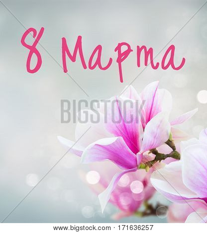 twig with fresh blooming pink magnolia flowers close up over blue background for 8 March international womens day