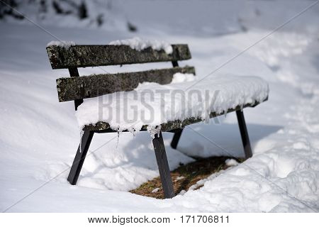 The Bench in park under the snow