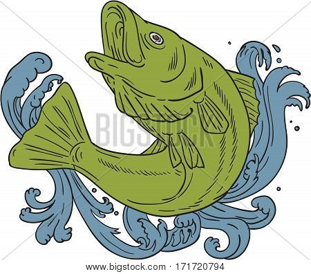 Drawing sketch style illustration of a rockfish swooping up in turbulent waters set on isolated background viewed from the side.