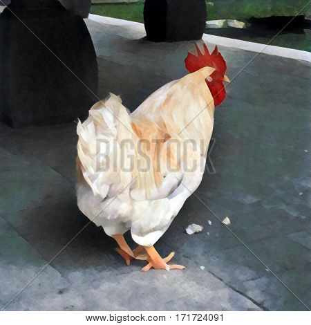Big cock on stone floor. Digital illustration in painting style. Square image of 2017 chinese new year symbol. New year card template. White fat rooster with red in Asia. Fluffy cute animal bird.