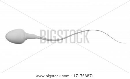 3d rendering white sperm isolated on white