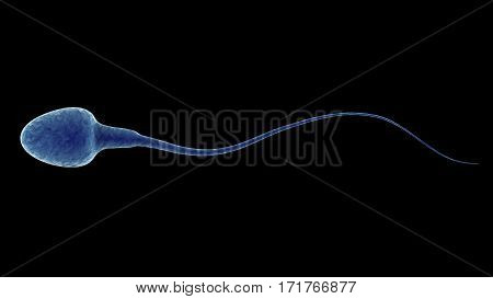3d rendering blue sperm isolated on black