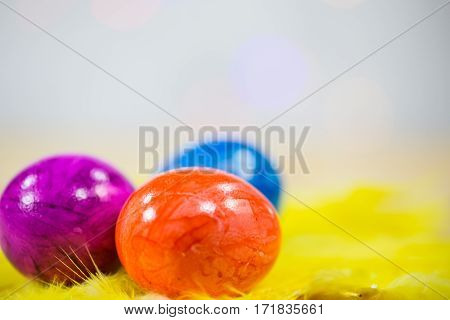 Colorful easter eggs macro copy space, postcard