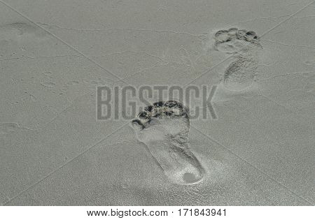 A pair of human footprints on the sand. Summertime period. Seaside photo. Background of footprints