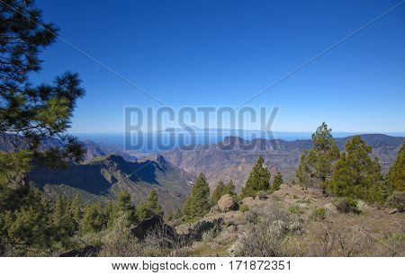 Central Gran Canaria In February