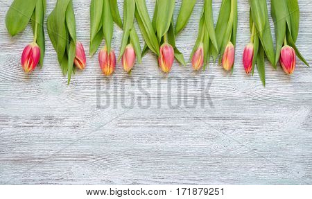 nine tulips on the vintage wooden background