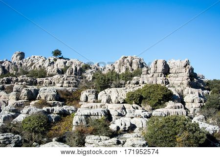 A landscape with wild goats mountains of El Torcal in Andalusia Spain.