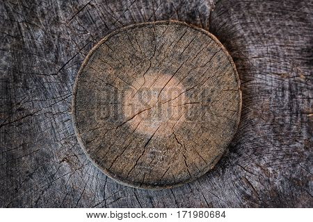 Sawed wooden stumps with cracks texture . Texture background