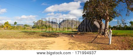 Scenery on the tobacco farmValley de Vinales Pinar del Rio Cuba.
