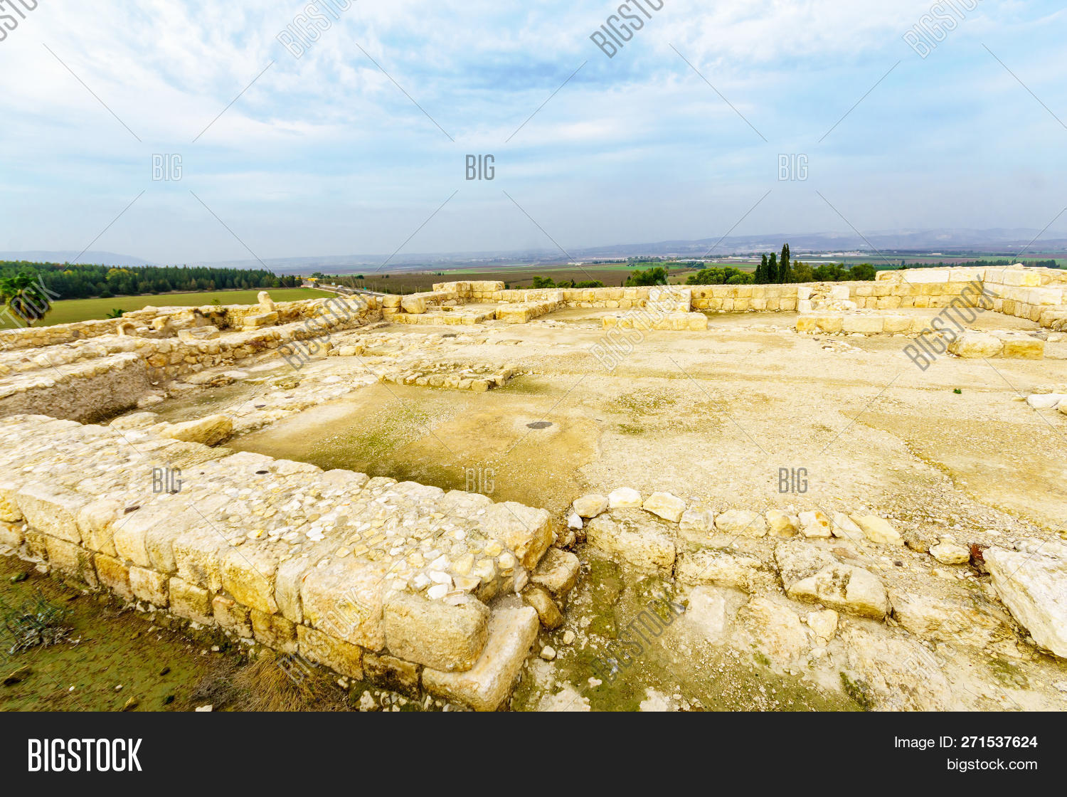 Семь Дней До Мегиддо Купить Книгу