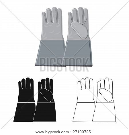 Vector Illustration Of Glove And Winter Logo. Collection Of Glove And Equipment Vector Icon For Stoc