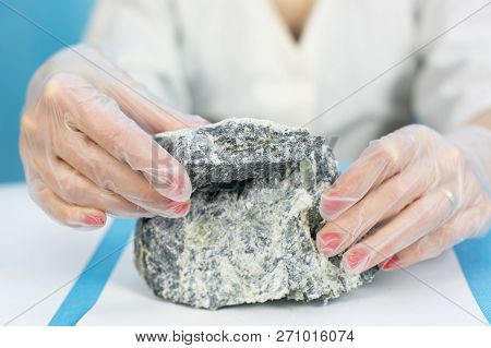 Female Hands Hold The Dangerous Mineral Asbestos.