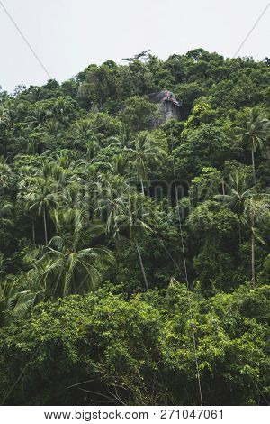 Landscape View Of Zip Line Through Tropical Forest. Beautiful Green Trees And Coconut Palms With Zip