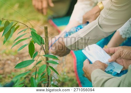 The Provincial Governor And His Wife  Plant A Tree Together For Commemorate The Memory.