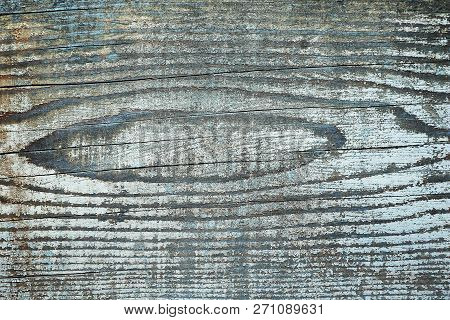 Detail Of Annual Rings On Spruce Plank, Tangential Section ( Picea Abies )