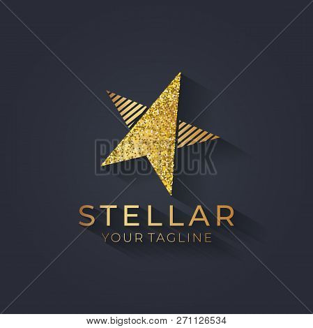 Star Logo Vector. Universal Abstract Logo With A Star Symbol For Any Business. Star Sign - A Leader,