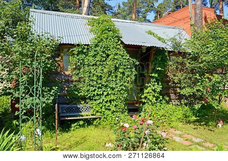 Small Summer Country House In The Shade Of Garden Trees
