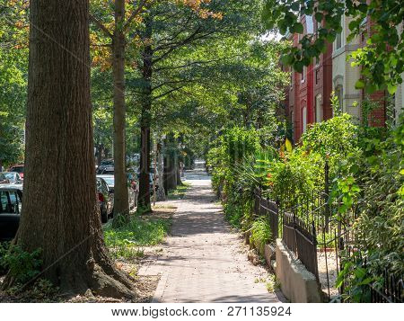 Scenic Neighborhood Sidewalk With Townhouses On H Street In Washington, Dc