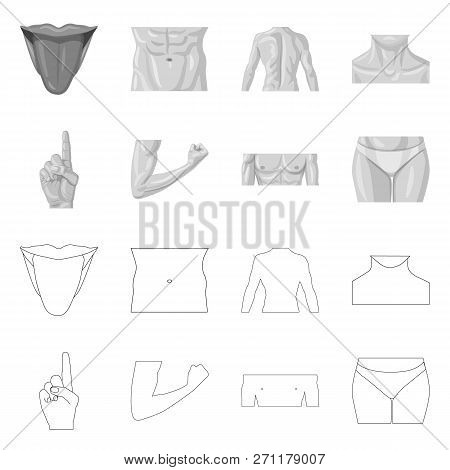 Vector Illustration Of Human And Part Logo. Set Of Human And Woman Vector Icon For Stock.