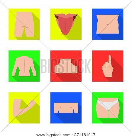 Vector Illustration Of Human And Part Logo. Collection Of Human And Woman Stock Vector Illustration.