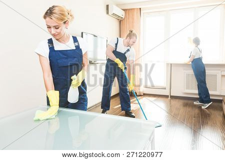 Cleaning Service With Professional Equipment During Work. Professional Kitchenette Cleaning, Sofa Dr