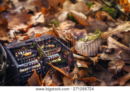 Old Tv Tuner Channel Selector With Moss In Autumn Leaves