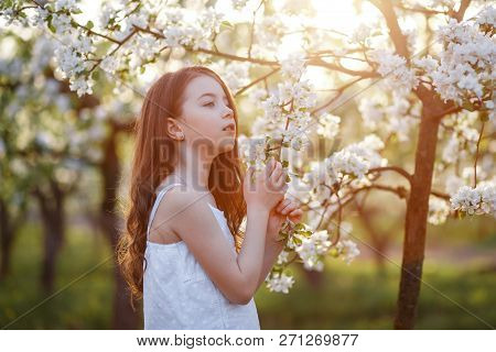 Portrait Of A Beautiful Young Girl With Blue Eyes In White Dress In The Garden With Apple Trees Blos