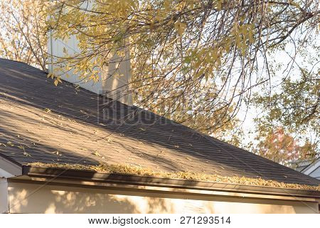 Pile Of Dried Leaves On Rain Gutter Of Residential Home In Texas, America