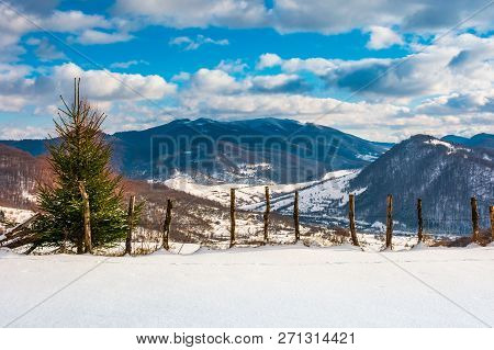 Small Spruce Tree Near The Wooden Fence On The Edge Of A Snowy Slope. Beautiful Winter Landscape On 