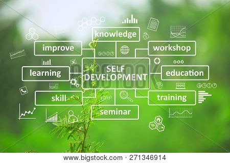 Self Development, Pesonal New Business Skills Motivational Inspirational Quotes, Words Typography To