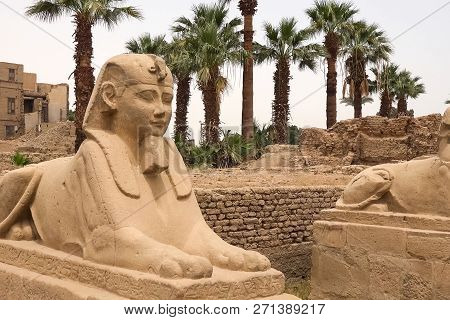 Statues Of Other Egypt. With The Temple Monuments Megaliths