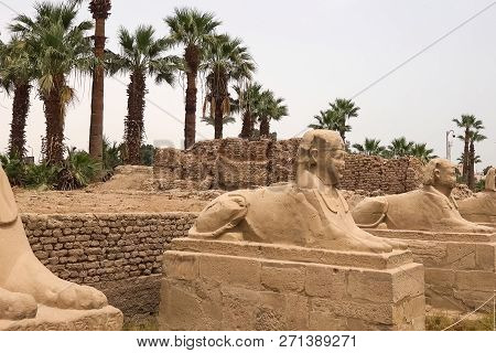 Statues Of Other Egypt. With The Temple Monuments Megaliths