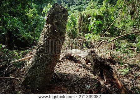 Lolits Village, Espiritu Santo Island / Vanuatu - Aug 10 2016 : Religious Holy Stone Artifact In The