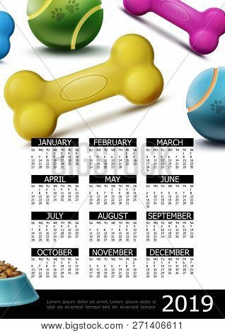 Pets Care 2019 Year Calendar Poster With Colorful Bones Balls Bowl Of Food In Realistic Style Vector