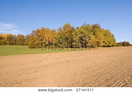 en smuk farverig efterår landskab