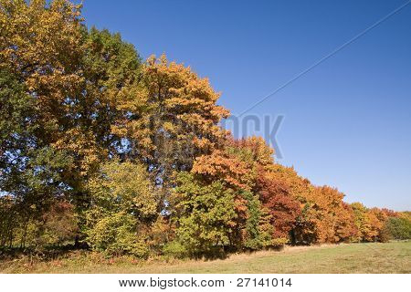 en smuk farverig efterår landskab