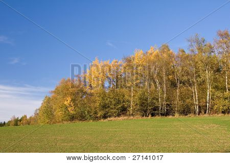 en smuk farverig efterår landskab