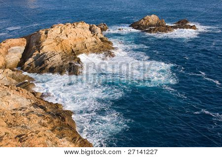 bella bearti selvaggio della Costa Brava, Spagna