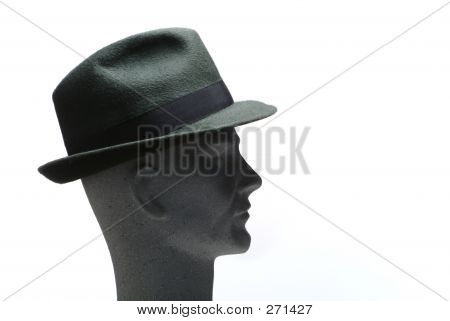 Hatheadprofile