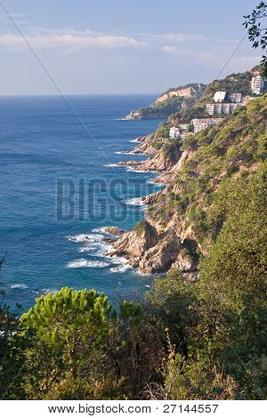 bella bearti selvaggio della Costa Brava, Spagna